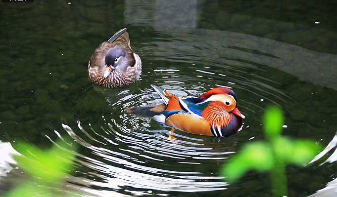 圖片關(guān)鍵詞