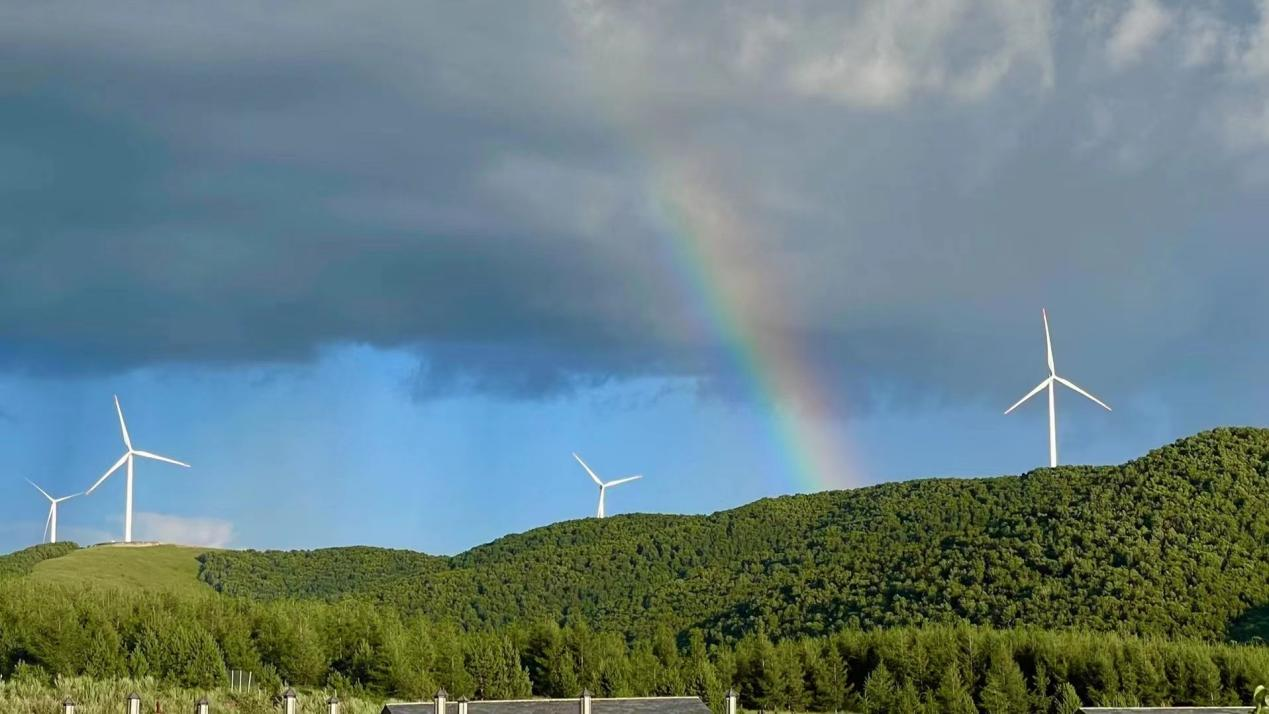 1627977674968843.png 1627977674968843.png